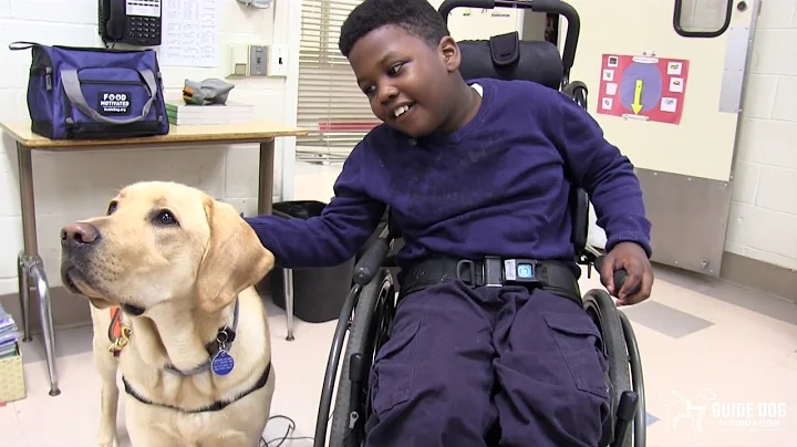Sunny & The Henry Viscardi School