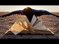 Lawless Lands | Cinematic Dark Country Music for Outlaw Territory Vibes