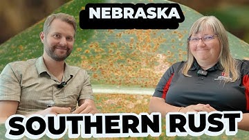Why Southern Rust Exploded on Corn & What to Do Next