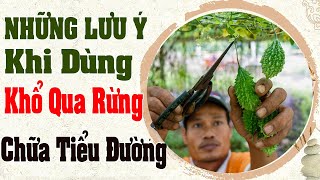 Khổ Qua Rừng, Mướp Đắng Rừng Trị Tiểu Đường  Cực Tốt -  Lưu ý Khi sử dụng