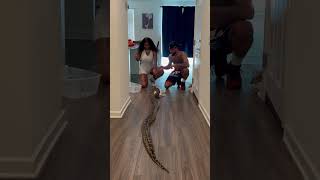 I Let Her Feed My Giant Snake, Rocky The Burmese Python! 😍🐍