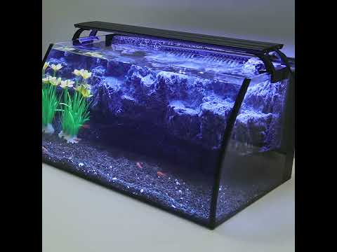 Hygger Horizon Aquarium Kit