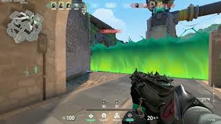 Valorant 2022_Clean Viper Ace