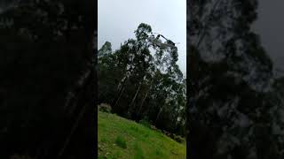 Flight testing #VertiportAfrica #Arducopter #Ardupilot