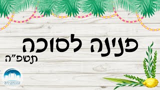 כוחו של הושענא רבה | פנינה לסוכה | הרב אלקנה ליאור