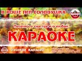 Караоке - "В роще пел соловушка" Русская народная песня