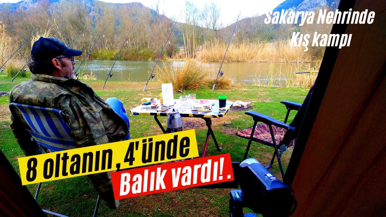 Selbükü'nde Sazan Avı | #sazanavı#balıkavı#kamp