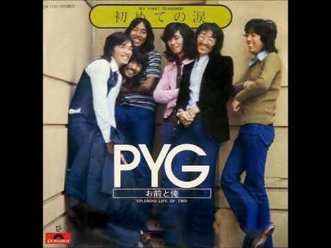 ☆レア☆ PYG ファーストアルバム 初回限定 特殊ジャケ PYG - PYG