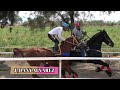 La Callejera Vs El Cantador Vs La Maestra 300 VTP 29ABR26 Carril Rancho Humilde Rancho Nuevo Jal 