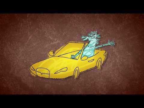 Bojack Horseman - Stupid Piece of sh*t