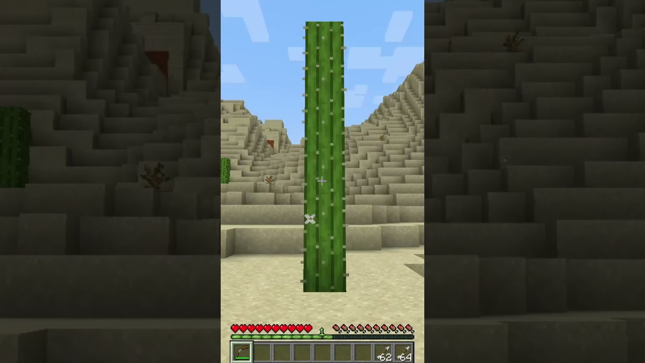 DON`T SHOOT ON A CACTUS IN MINECRAFT 