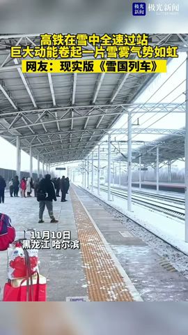 哈尔滨，高铁在雪中全速过站，现实版《雪国列车》#高鐵 #中國 #旅遊 #基建狂魔 #復興號 #鐵路