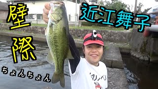 近江舞子はよく釣れる！！タイミングを合わせて口を使わせろ！