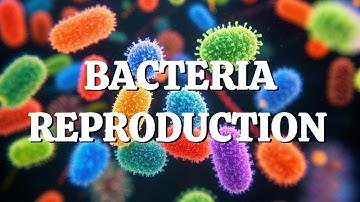 How Bacteria Multiply: Binary Fission, Transformation & Conjugation