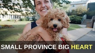 Pei: Small Province Big Heart