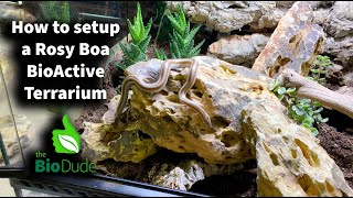 How to set up a Rosy Boa BioActive Terrarium with Mariah Healey, creator of ReptiFiles.com