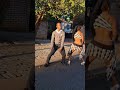 Zola Budd Siziwe Ngema Amapiano Dance Amapiano Amapianovibesworld Amapianodance Siziwe 
