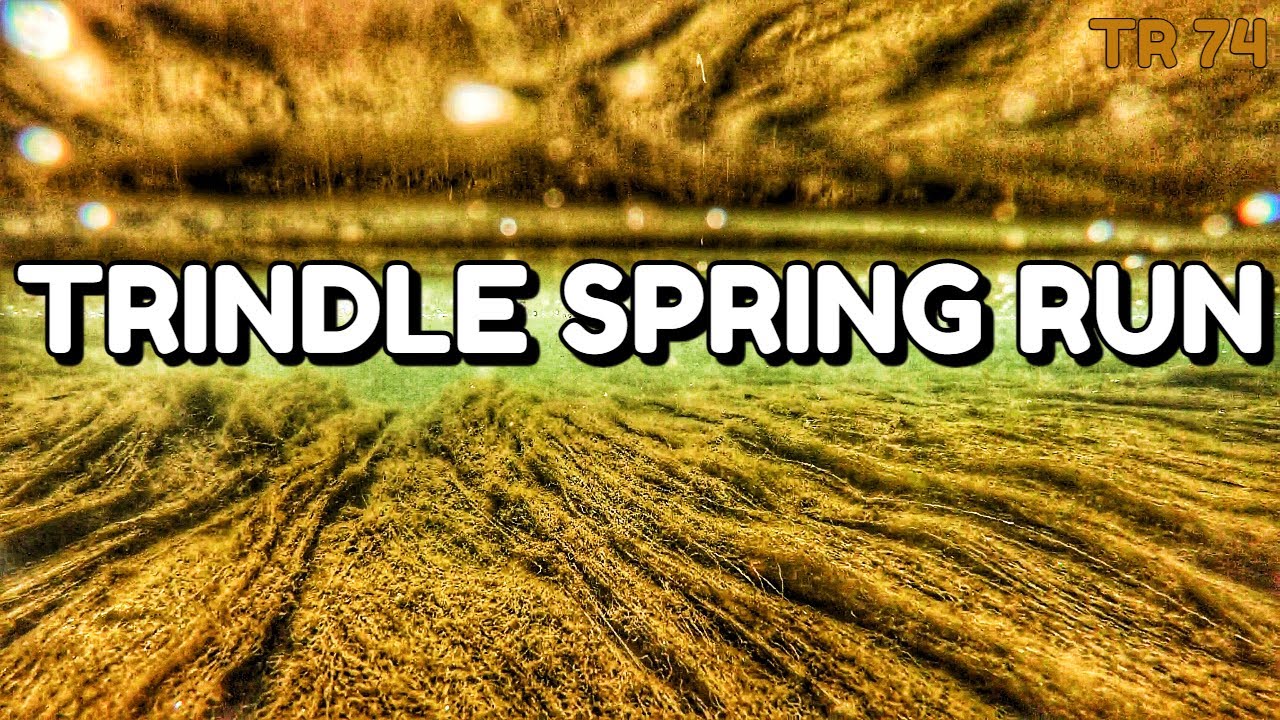 Hiking In A Crystal Clear Spring Run