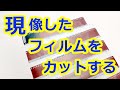 現像したフィルムをカットする