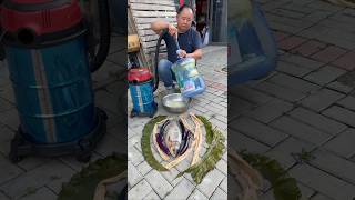 Vacuum Cleaner & Dry Blowing Dual-Use Cleaner