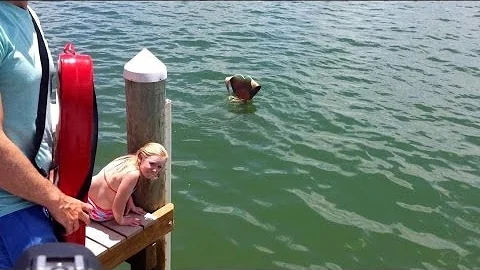 Mermaid sighting in the ocean visits humans by the dock