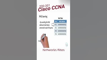 1.13 Cisco CCNA 200-301 | Network Fundamentals | Describe switching concepts