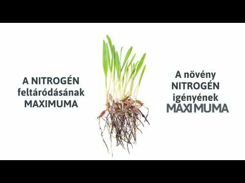 Videó: Csalán Műtrágya: Hogyan Készítsünk Infúziót A Növényi Táplálkozáshoz? Alkalmazási Szabályok. Mely Növényeket Lehet öntözni Zöldtrágyával?
