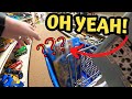 This GOODWILL FIND Keeps Going Up in Value!