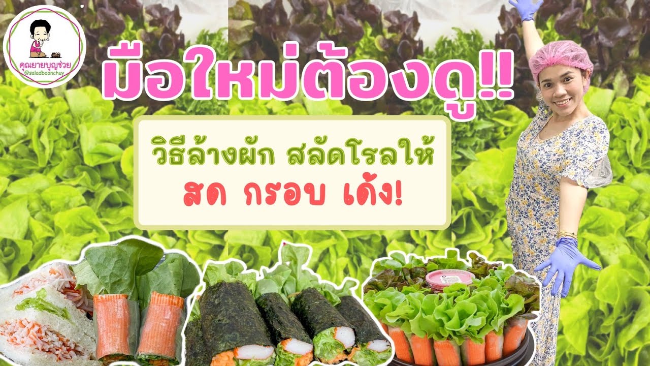 EP.12 มือใหม่ต้องดู! วิธีล้างผัก ทำสลัดโรล ให้สด กรอบ เด้ง  #สลัดคุณยายบุญช่วย #สลัดโรล #hydroponics