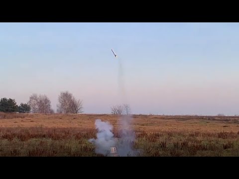 ARCAspace model rocket launch attempt (auto-abort)