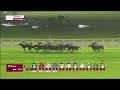 RM 37  Al Rayyan Race 8 -  Khor Al Adaid Cup