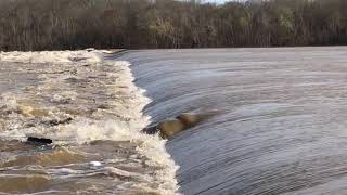 Flood waters at Demopolis