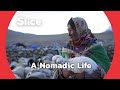 Nomadic life in the himalayan highlands  slice