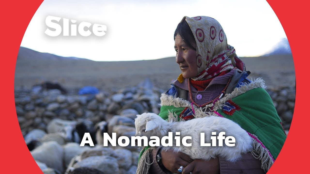 Documentary backdrop image for Nomadic Life in the Himalayan Highlands (2024)