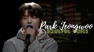 PARK JEONGWOO's Soulful voice | raw vocals