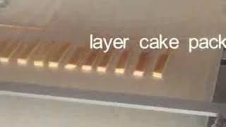 Layer cake process and packaging machine, cake flow packing equipment, HFFS