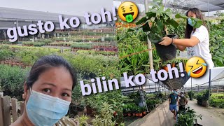 A Trip to Singapore's World Farm Nursery - Sobrang Amazzingggg!!!😲😲🤩Vlog #08