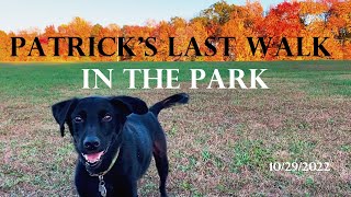 Patrick's Last Walk in the Park, 10/29/2022