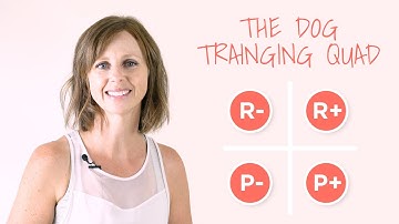 The FOUR QUADRANTS of Dog Training Explained (with Examples)