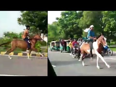 Horse racing on Noida expressway - Horse racing on Noida expressway