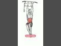 Muscler Vos Abdominaux Et Affiner Votre Taille à La Barre De Traction Workout Gymathome Stomach 