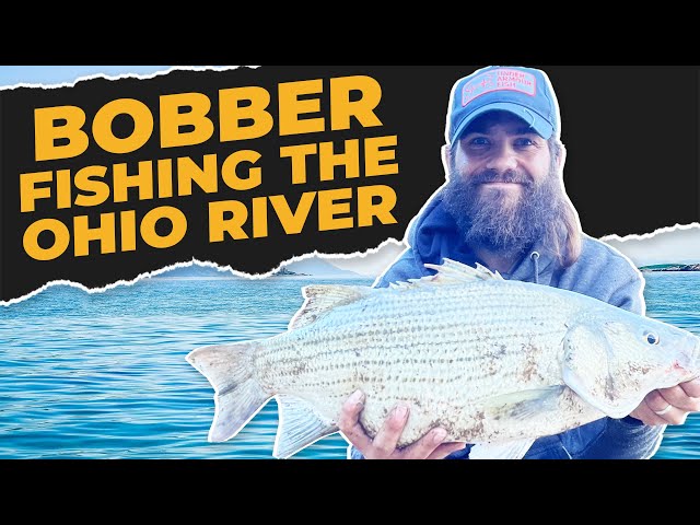 best lures for gt fishing How to Catch Giant Trevally (Ulua)