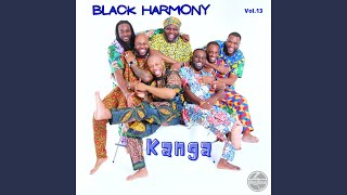 Lolo Mi Boto - Black Harmony