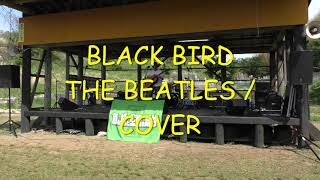 BLACK BIRD（THE BEATLES / COVER）