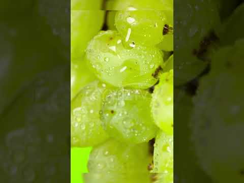 Bu cömertliğin sahibi kim?