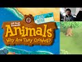 Animals why are they crossing  off book the improvised musical 143