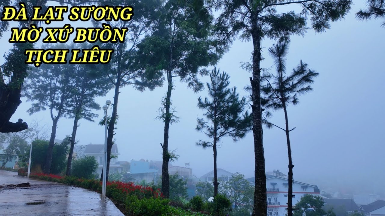 Đà Lạt xứ sương mờ chốn buồn tịch liêu