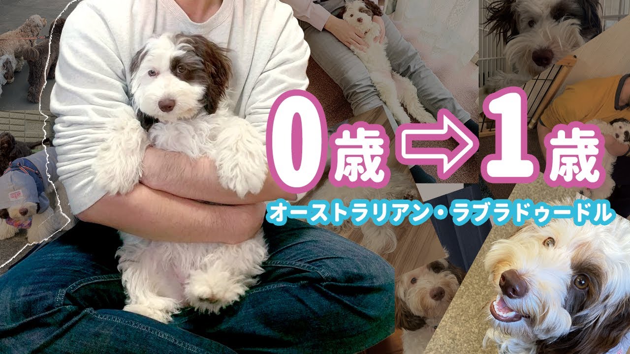 1年間いろいろありました‥【ビフォーアフター】