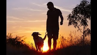 Si tienes un perro NECESITAS ver este video | JuanesRFC_DogsTV by JuanesRFC 1,058 views 6 years ago 5 minutes, 1 second