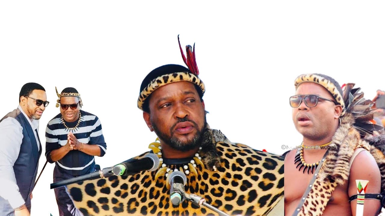 Signee Hulumeni u Ngizwe Uphawula Ngenkulumo Yesilo Ngo Hulumeni Ophethe - YouTube